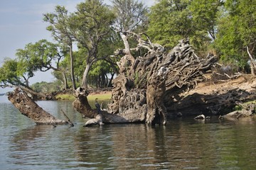river Chobe in Chobe National Park, Botswana