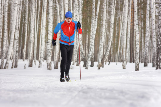The Cross-country Skier in winter forest