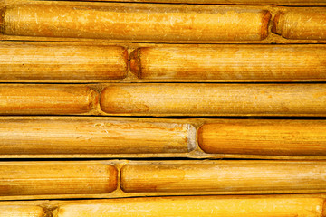   bamboo in the temple kho phangan bay
