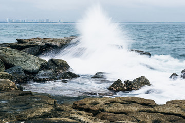 Obraz premium Rocks and waves at Point Cartwright beach in the afternoon. Sunshine Coast, Queensland. 