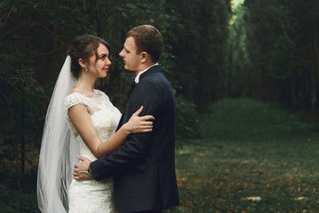 gorgeous elegant luxury bride and stylish groom hugging on the b
