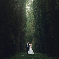 gorgeous elegant luxury bride and stylish groom hugging and walk