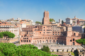 Fototapeta na wymiar Forum - Roman ruins in Rome, Italy