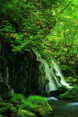 秋田県にかほ市　 元滝伏流水