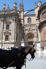 Naklejka na ściany i meble Catedral de Sevilla