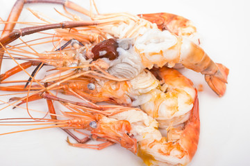 head fat or egg raw tiger fresh shrimps