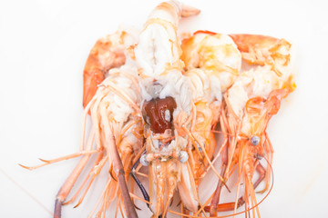 head fat or egg raw tiger fresh shrimps