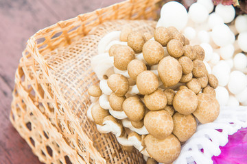 mushroom in the basket for cook