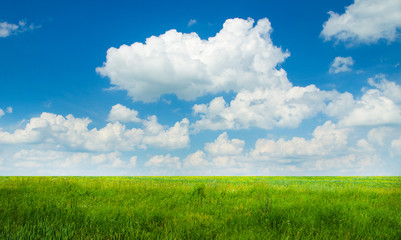 Green field with blue sky