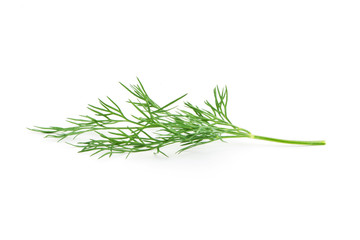 Green dill isolated on white background. Studio macro