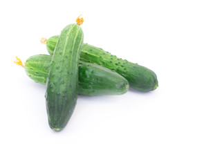 cucumber