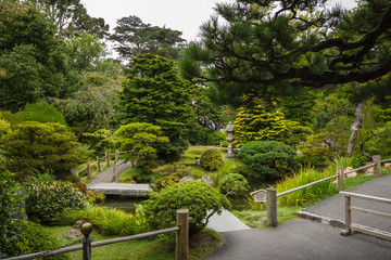 Japanese Tea Garden in San Francisco