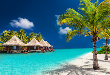 Over water bungalows on a tropical island with palm trees and am - obrazy, fototapety, plakaty