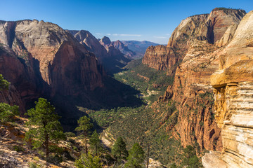 View on Zion National Park from Angel's landing point