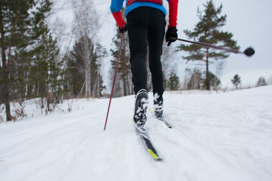 Cross Country Skiing, Close-up