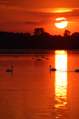 Naklejka premium Zachód słońca nad jeziorem