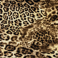 texture of print fabric striped leopard