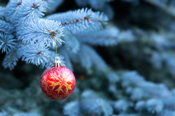Fototapeta na wymiar Christmas ball isolated .