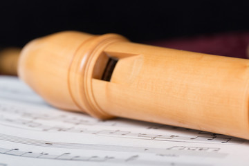 Recorder and music notes © eyalg_115