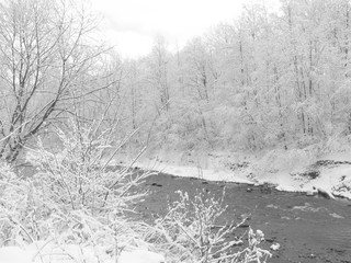 Black and white photo of river flowing through the woods in winter