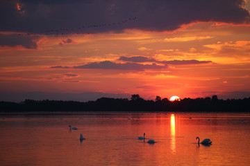 Naklejka premium Zachód słońca nad jeziorem