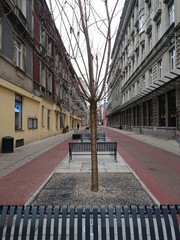 Ulica © michalsen