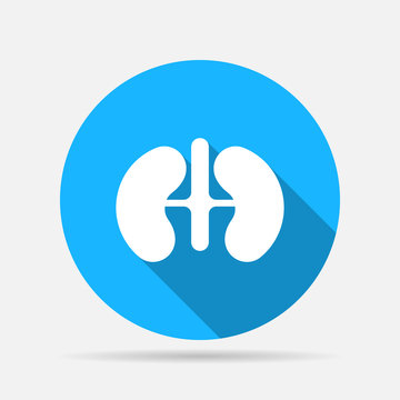 recommend clip art: icon kidneys