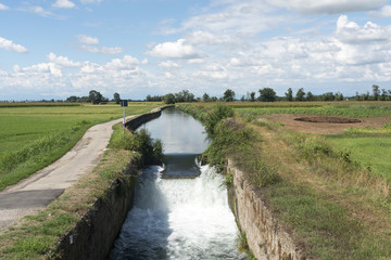 Canal of Bereguardo (IMilan)