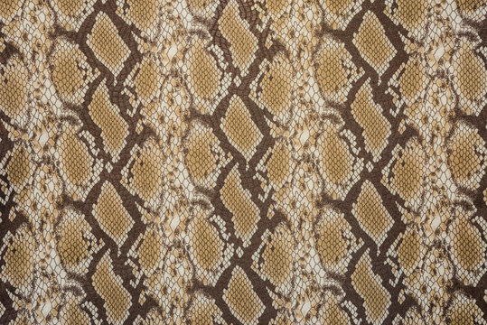 texture of print fabric stripes snake leather