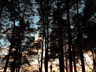 lonely girl silhouette relaxed in the sunset forest