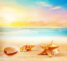 Fototapeta na wymiar Starfish and seashells on the summer beach