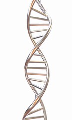 DNA structure model on white