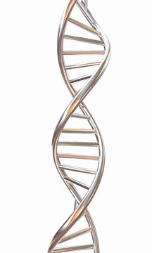 DNA structure model on white