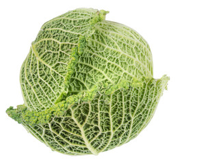 Fototapeta premium Cabbage isolated on white. Home grown, not perfect.