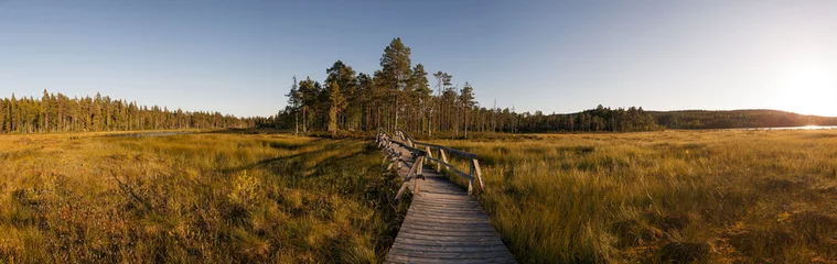 Papier Peint photo Nature Passerelle dans la lande en Suède