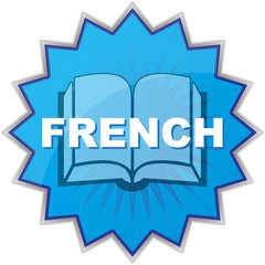 french book icon