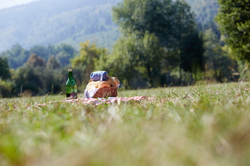 picnic basket on green lawn