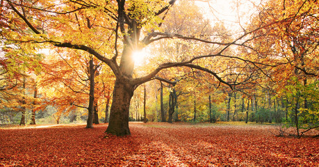 Herbst