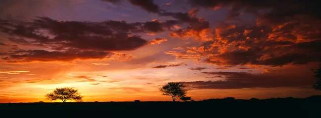 Selbstklebende Fototapeten Sonnenuntergang © gi0572