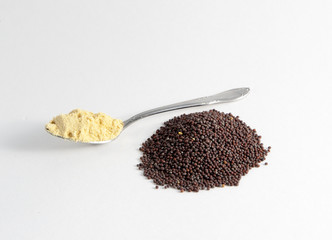 Spoonful of mustard powder and brown mustard seeds against a white background