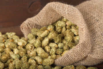 Getrocknete Hopfendolden