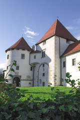 Fototapeta na wymiar Old city castle in croatia 