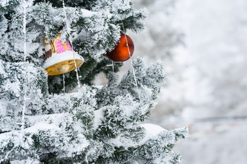 Snow-covered branch of a Christmas tree and the ball