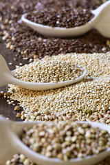 seeds of buckwheat, quinoa and brown flax