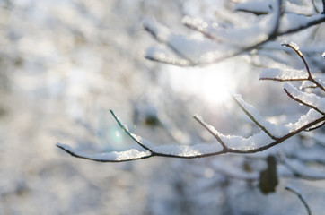 winter background