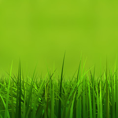 Conceptual green 3d grass field or lawn on green background