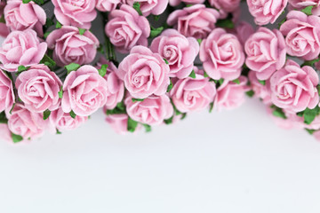 Light magenta roses in wood isolated background