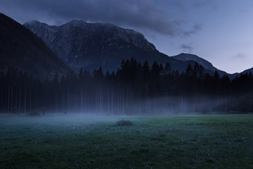 Naklejka premium Foggy and misty pasture with forest and mountain in background