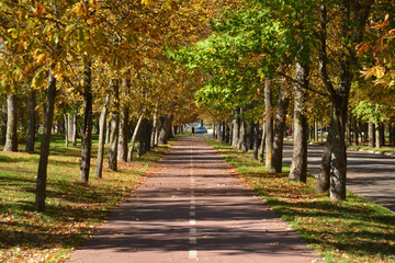 Fototapeta premium colores de otoño en un parque de Burgos