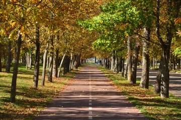 Fototapeta na wymiar colores de otoño en un parque de Burgos